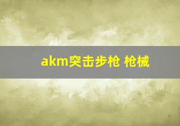 akm突击步枪 枪械